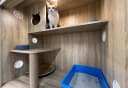 Private cabin at Cat Paradise