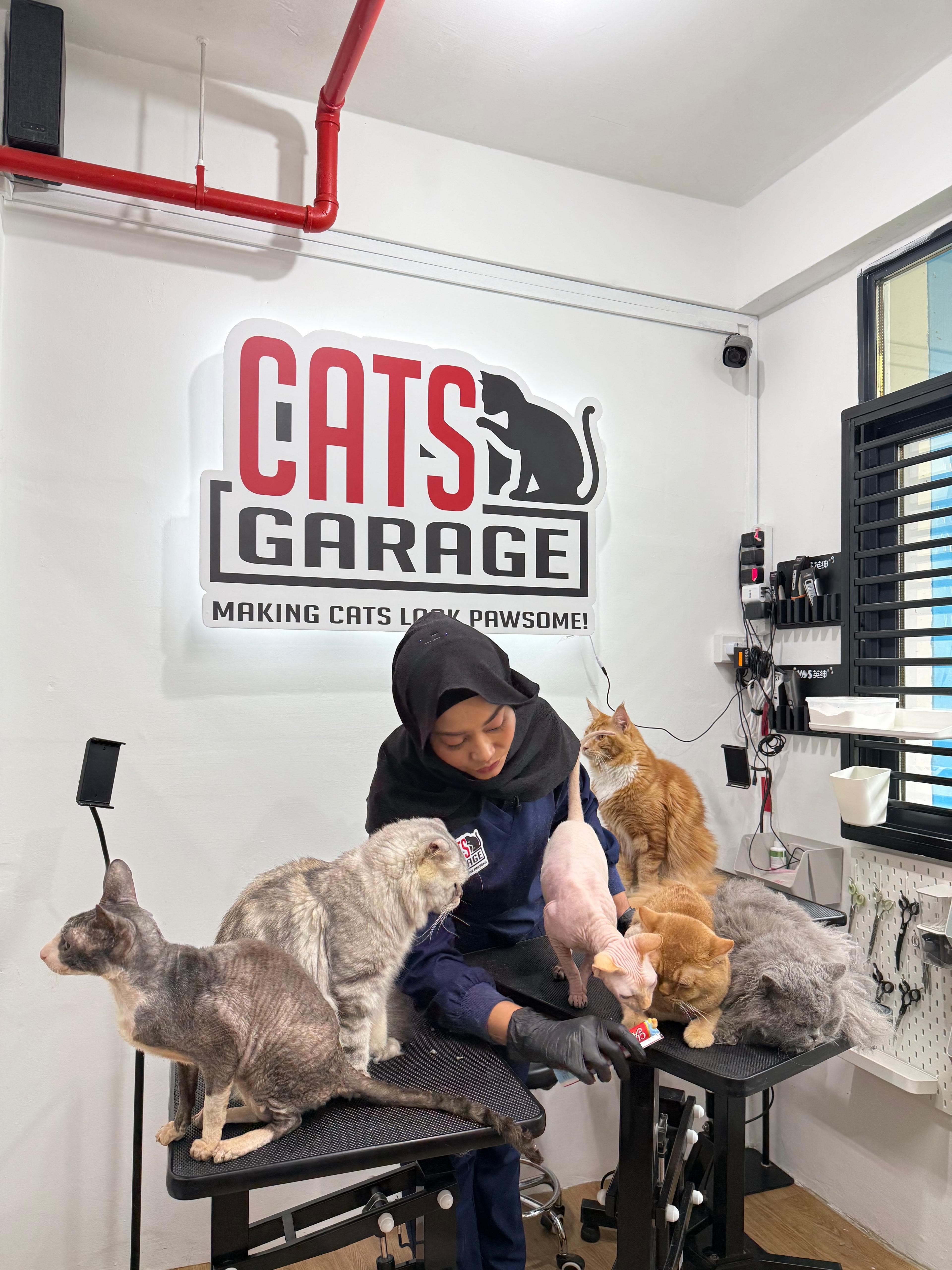 Cats Garage grooming salon inside Cat Paradise Hotel